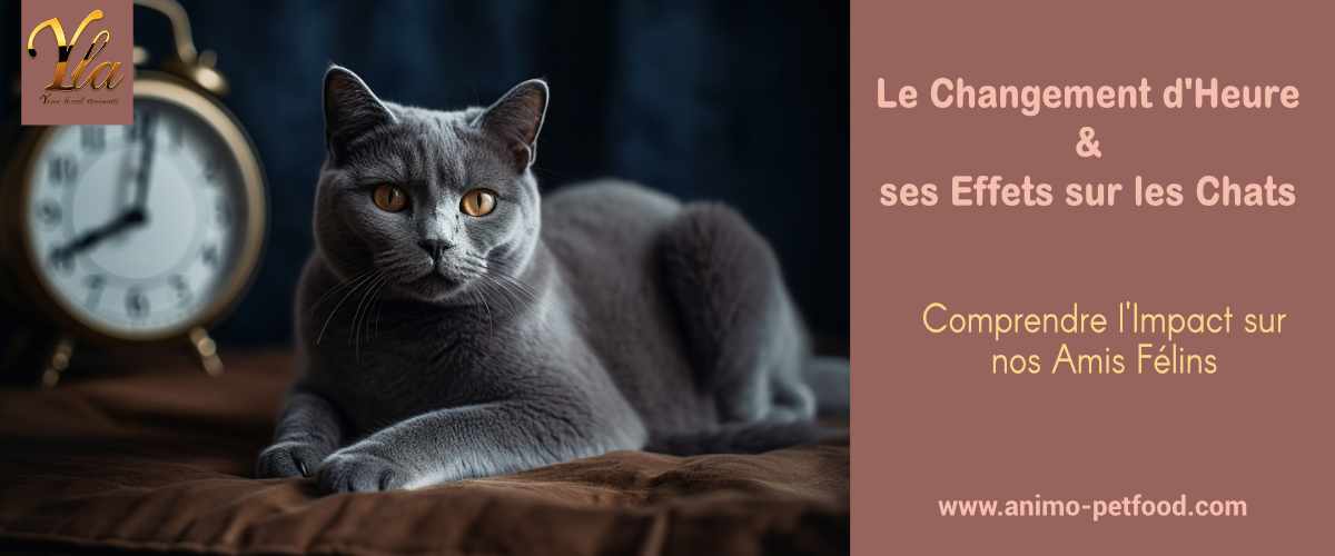 conseils-preparer-votre-chat-au-changement-d-heure